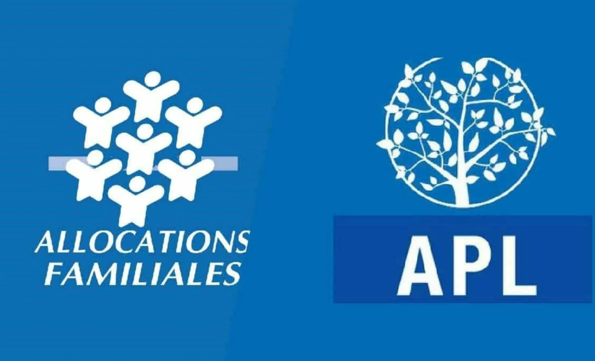 Montant APL 2024